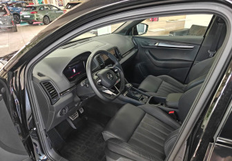 Новый Skoda Karoq 2025 (9 фото)