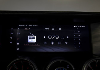 Подержанный автомобиль Tank 300 2024 года (31 фото)