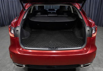 Подержанный автомобиль Lexus RX 2019 года (10 фото)