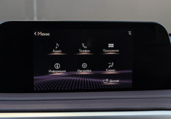 Подержанный автомобиль Lexus RX 2020 года (18 фото)