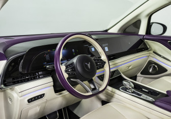 Подержанный автомобиль Voyah Dream 2023 года (10 фото)