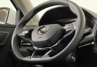 Новый Skoda Karoq 2025 (11 фото)