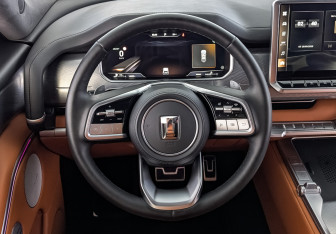 Подержанный автомобиль Tank 700 2024 года (21 фото)