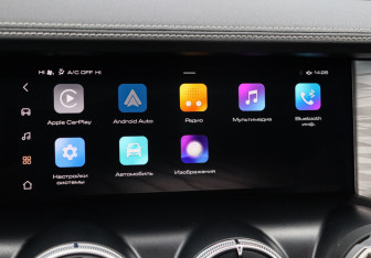 Подержанный автомобиль Tank 300 2023 года (27 фото)