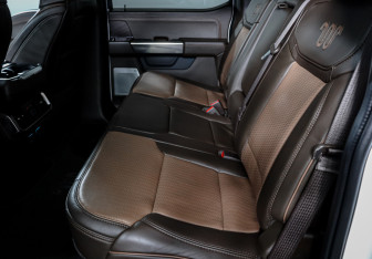 Подержанный автомобиль Ford F-150 2023 года (10 фото)