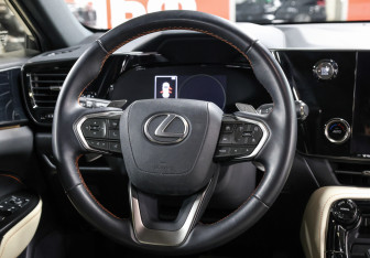 Новый Lexus NX 2022 (17 фото)