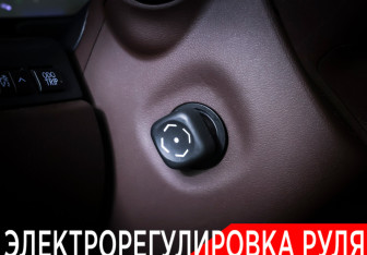 Подержанный автомобиль Lexus RX 2016 года (17 фото)