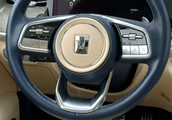 Подержанный автомобиль Tank 500 2023 года (15 фото)