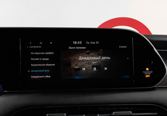 Подержанный автомобиль Hyundai Palisade 2019 года (15 фото)