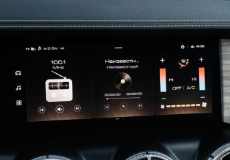 Подержанный автомобиль Tank 300 2023 года (25 фото)