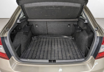 Подержанный автомобиль Skoda Rapid Liftback 2018 года (10 фото)