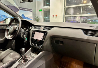 Подержанный автомобиль Skoda Octavia RS Wagon 2019 года (13 фото)