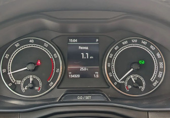Подержанный автомобиль Skoda Rapid Liftback 2020 года (13 фото)