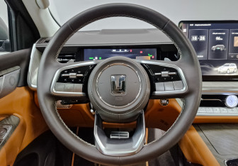 Подержанный автомобиль Tank 500 2023 года (21 фото)