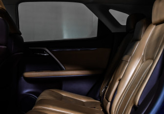 Подержанный автомобиль Lexus RX 2017 года (13 фото)