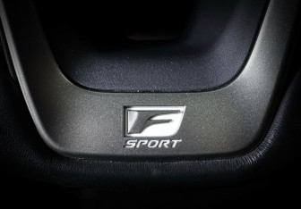Подержанный автомобиль Lexus RX 2022 года (24 фото)
