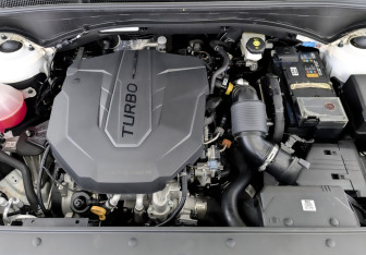 Подержанный автомобиль Hyundai Santa Fe 2022 года (9 фото)