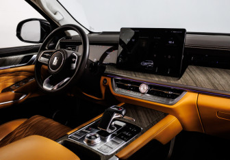 Подержанный автомобиль Tank 500 2023 года (9 фото)