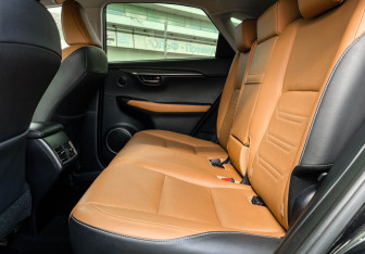 Подержанный автомобиль Lexus NX 2018 года (10 фото)