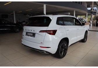 Новый Skoda Karoq 2025 (5 фото)