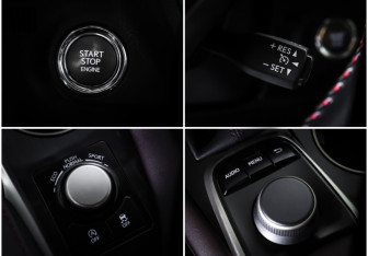 Подержанный автомобиль Lexus RX 2017 года (19 фото)