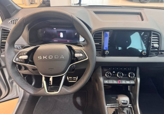 Новый Skoda Karoq 2025 (17 фото)