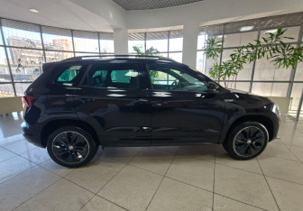 Новый Skoda Karoq 2025 (6 фото)