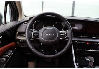 Новый Kia Carnival 2025 (14 фото)