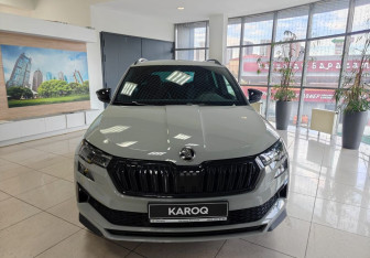 Новый Skoda Karoq 2025 (8 фото)