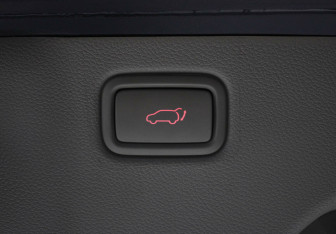 Подержанный автомобиль Kia Carnival 2018 года (25 фото)