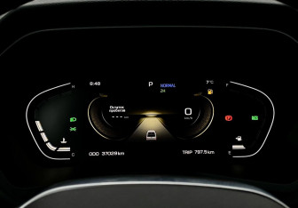 Подержанный автомобиль JAC T9 2024 года (28 фото)