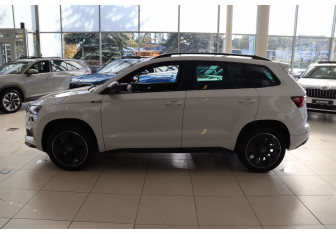 Новый Skoda Karoq 2025 (2 фото)