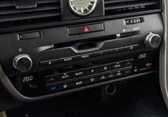 Подержанный автомобиль Lexus RX 2019 года (21 фото)