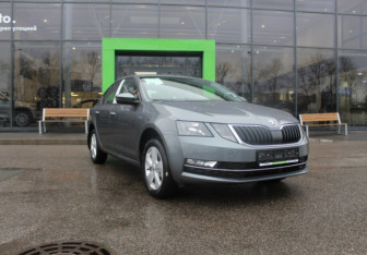 Новый Skoda Octavia Liftback 2024 (2 фото)