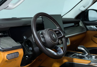 Подержанный автомобиль Tank 500 2023 года (13 фото)