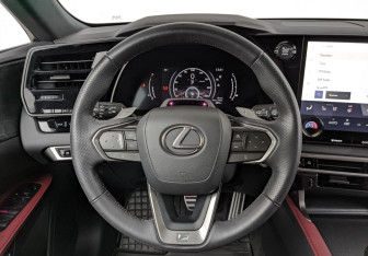 Подержанный автомобиль Lexus RX 2023 года (21 фото)