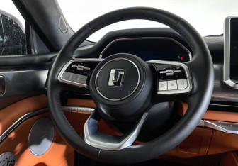 Новый Tank 700 2024 (15 фото)