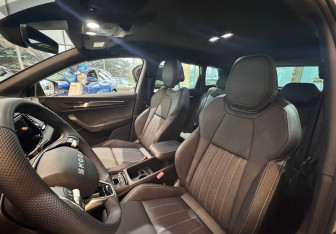 Новый Skoda Karoq 2025 (16 фото)