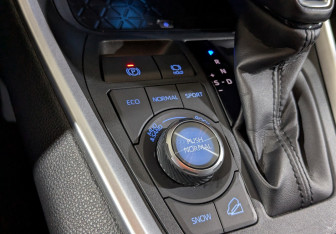 Подержанный автомобиль Toyota RAV4 2022 года (20 фото)