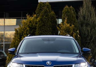 Подержанный автомобиль Skoda Kodiaq 2019 года (25 фото)