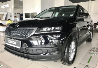 Новый Skoda Karoq 2025 (1 фото)