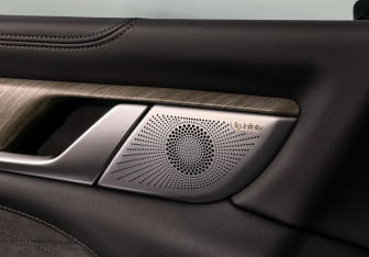 Подержанный автомобиль Tank 500 2023 года (16 фото)