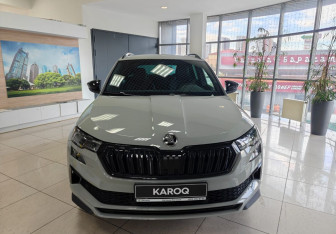 Новый Skoda Karoq 2025 (8 фото)