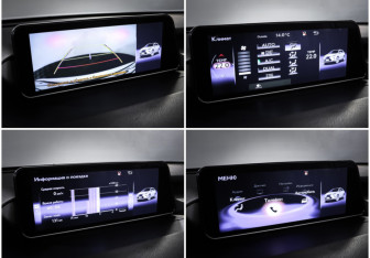 Подержанный автомобиль Lexus RX 2016 года (19 фото)