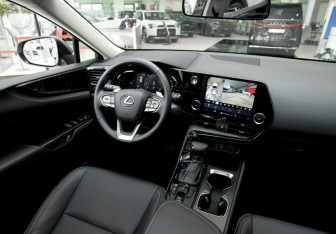 Новый Lexus NX 2025 (11 фото)