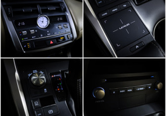 Подержанный автомобиль Lexus NX 2019 года (20 фото)