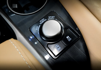 Подержанный автомобиль Lexus RX 2017 года (25 фото)