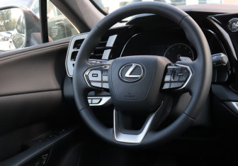 Новый Lexus RX 2025 (12 фото)