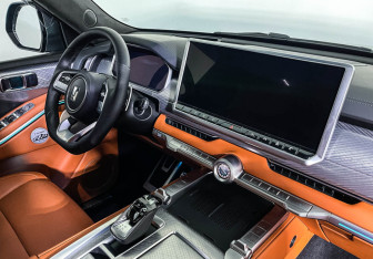 Подержанный автомобиль Tank 700 2024 года (9 фото)