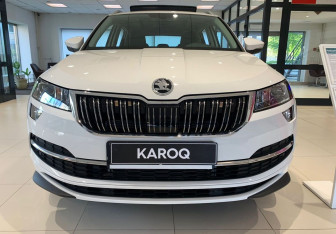Новый Skoda Karoq 2025 (9 фото)